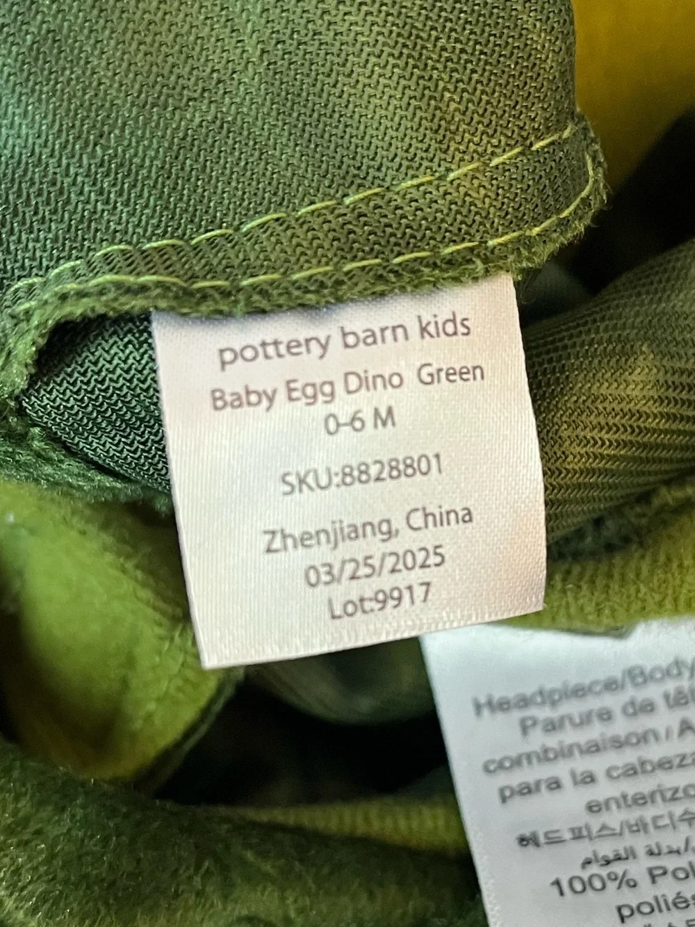 NWT Pottery Barn Kids Green T Rex Dino Egg Halloween Costume Baby Infant 0-6 mo